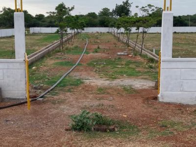 Plot for sale opposite to IIT tirupati for 15,00,000 - PS0070