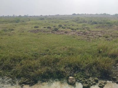 Prime South Facing Commercial Plot for Sale  Beside Medigo Hospital, Karakambadi Road - PS0033