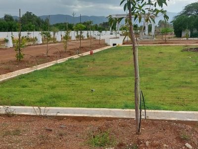 RECKON DIVINE CITY VENTURE  SRIKALAHASTI Divine Living " Prime Location " Smart Investment - PS0059